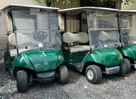 Golf Cart Green Gas 2018.webp