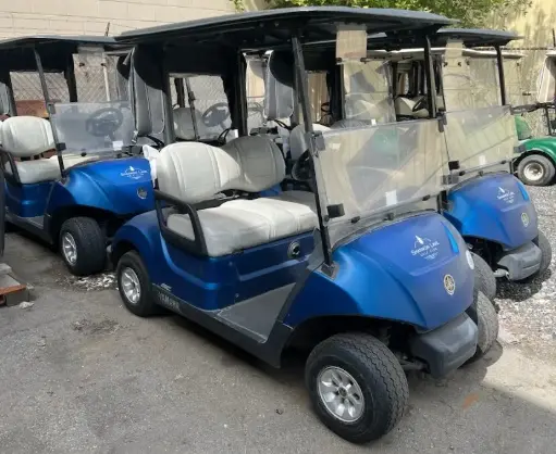 [USED] Golf Cart (Electric or Gas) YAMAHA
